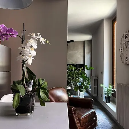 Mini Loft Super Cool Apartment